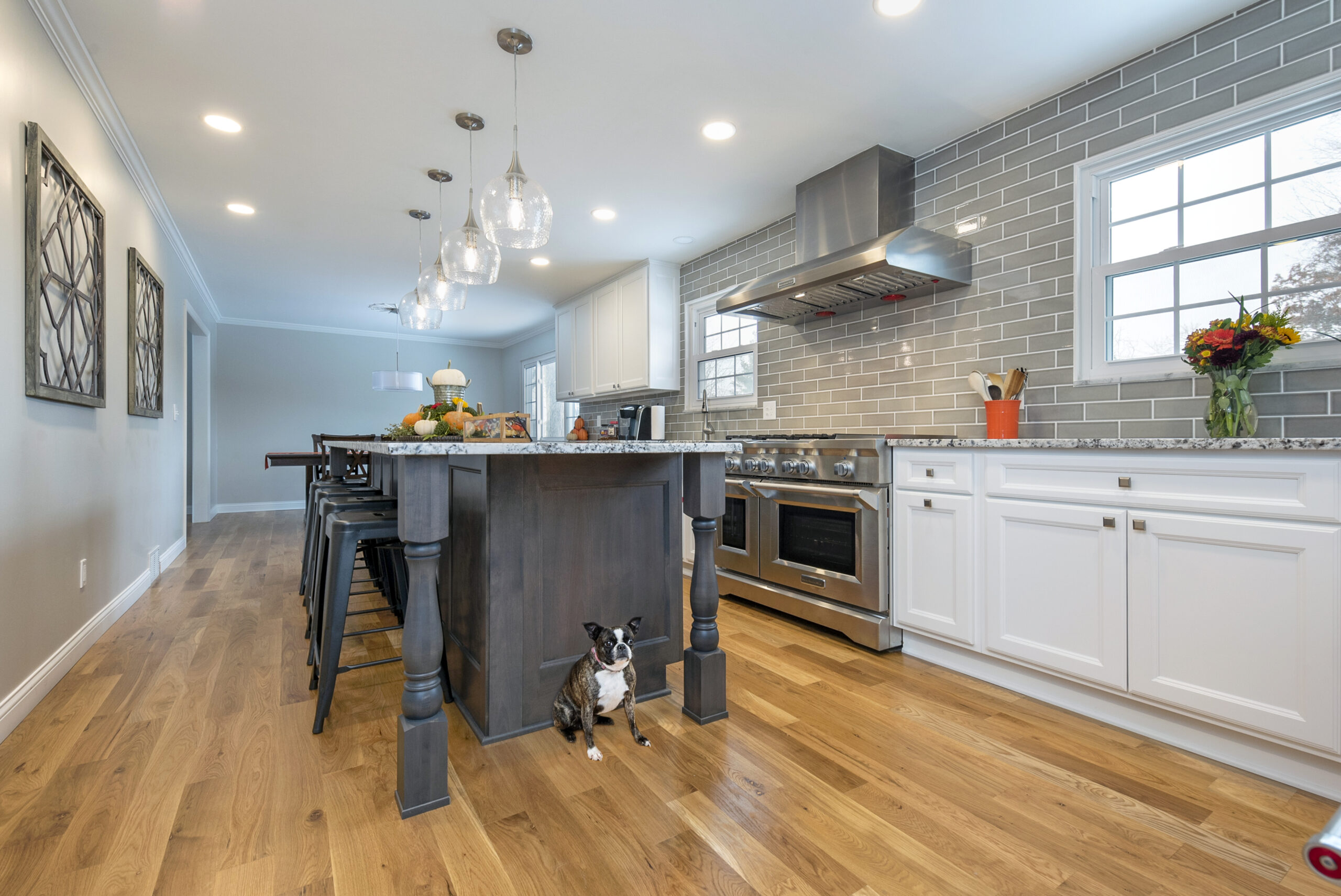 A modern kitchen with white cabinets, stainless steel appliances, gray subway tile backsplash, a dark wood island with barstools, wooden floors, pendant lights, and a small black and white dog—perfect inspiration for your next bath remodel.
