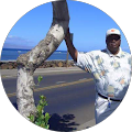 Norris Freeman profile picture